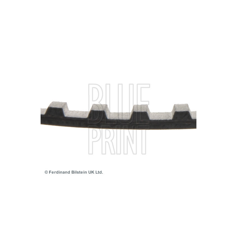 Courroie de distribution BLUE PRINT