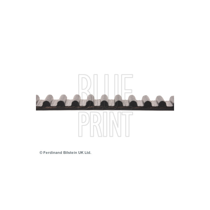 Courroie de distribution BLUE PRINT