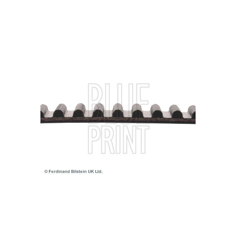 Courroie de distribution BLUE PRINT