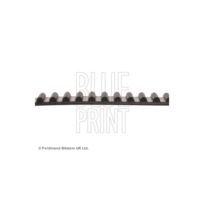 Courroie de distribution BLUE PRINT
