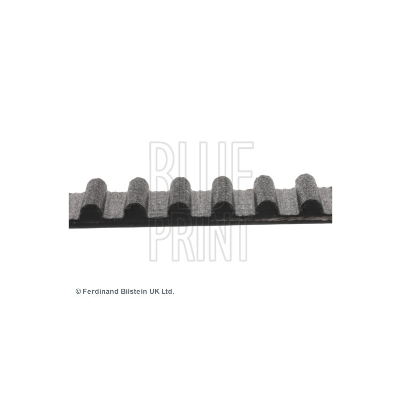 Courroie de distribution BLUE PRINT