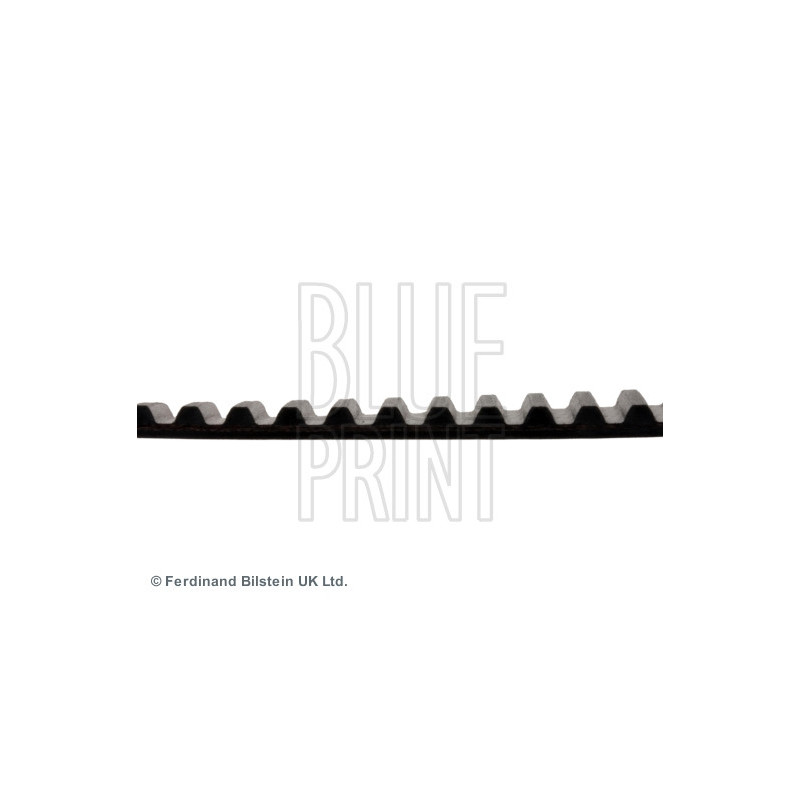 Courroie de distribution BLUE PRINT