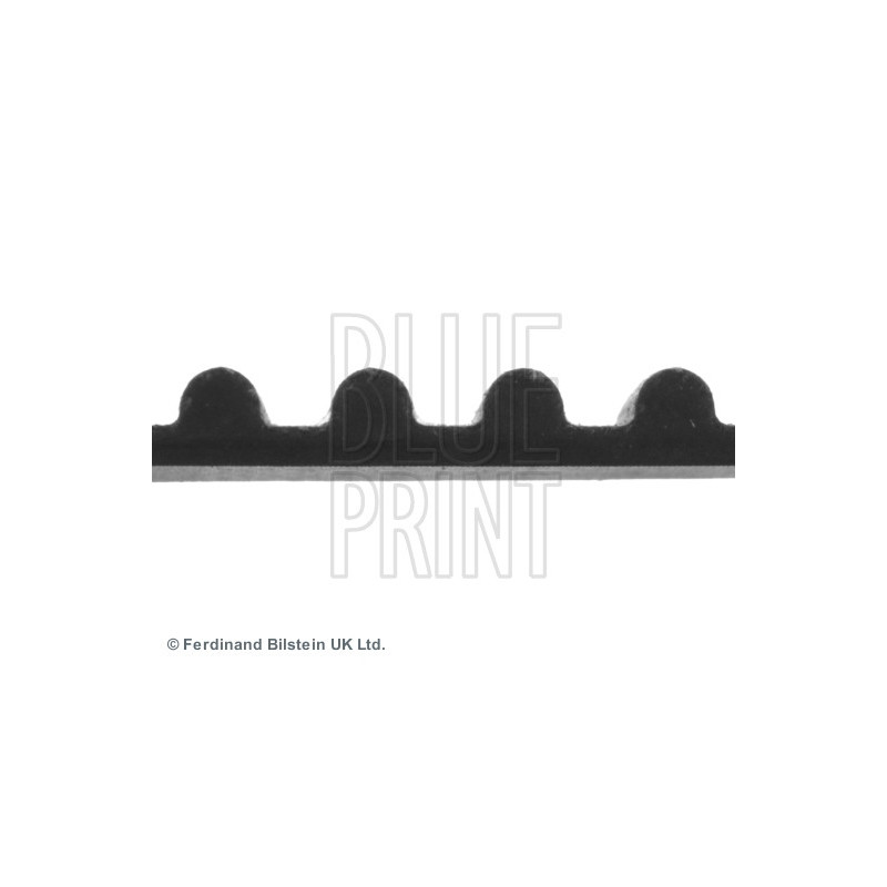 Courroie de distribution BLUE PRINT