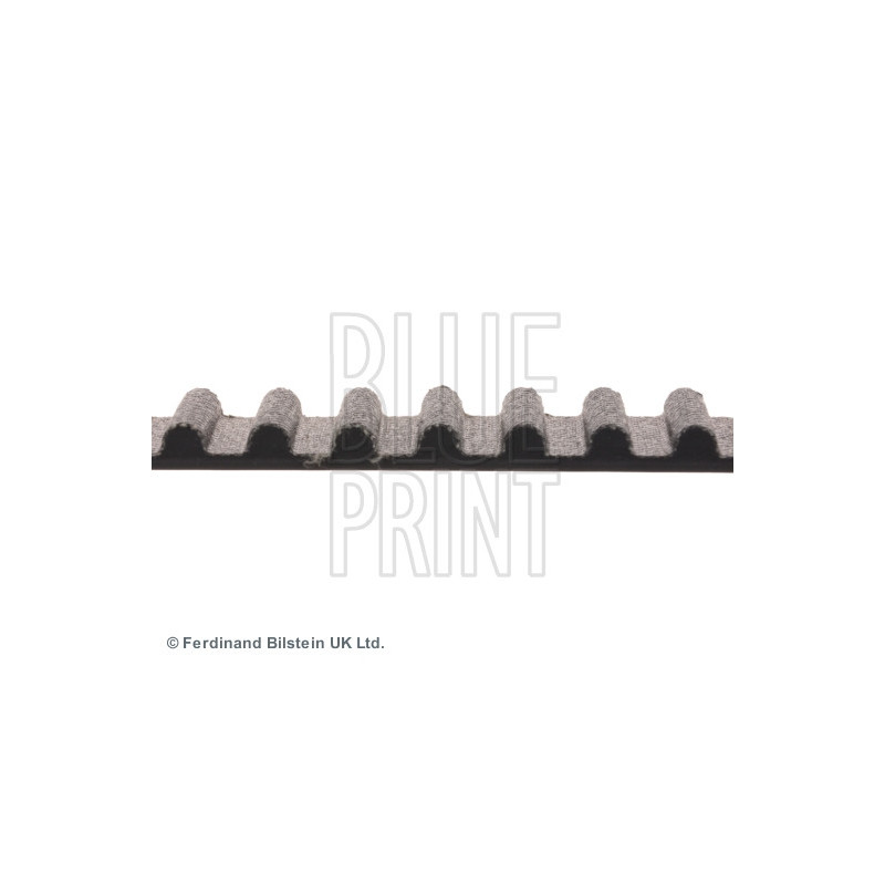 Courroie de distribution BLUE PRINT