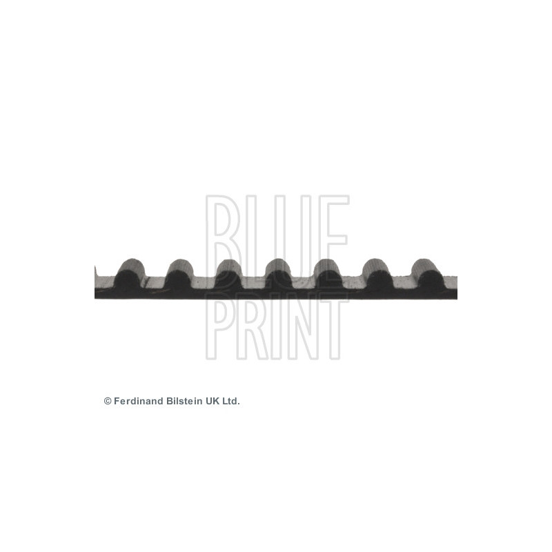 Courroie de distribution BLUE PRINT