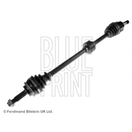 Cardan BLUE PRINT