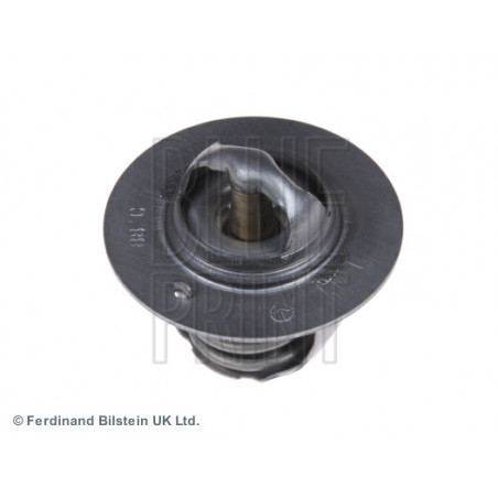 Thermostat d'eau BLUE PRINT