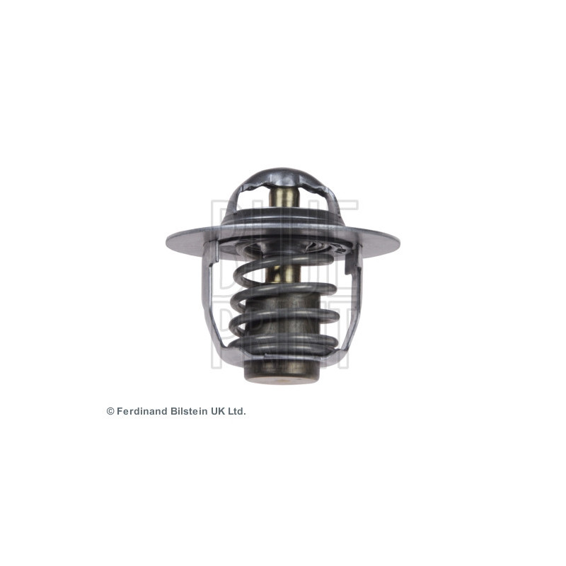 Thermostat d'eau BLUE PRINT