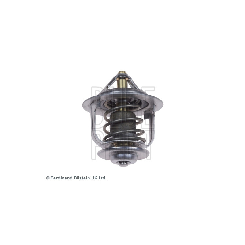 Thermostat d'eau BLUE PRINT