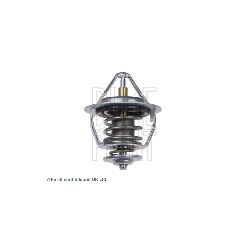 Thermostat d'eau BLUE PRINT