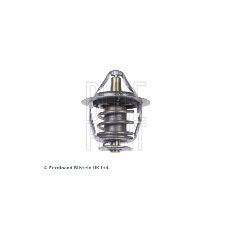 Thermostat d'eau BLUE PRINT