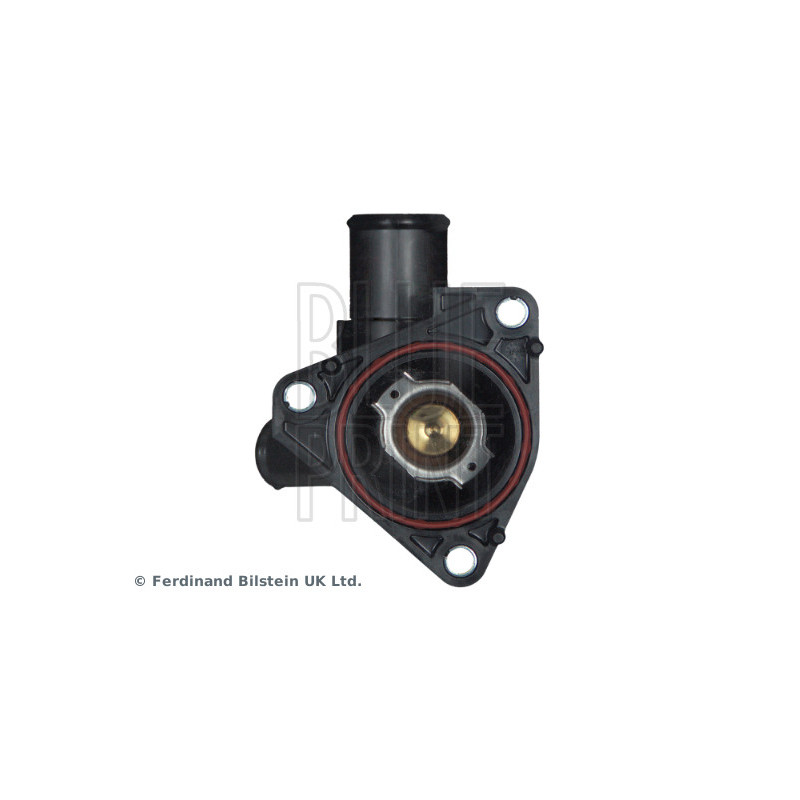 Thermostat d'eau BLUE PRINT