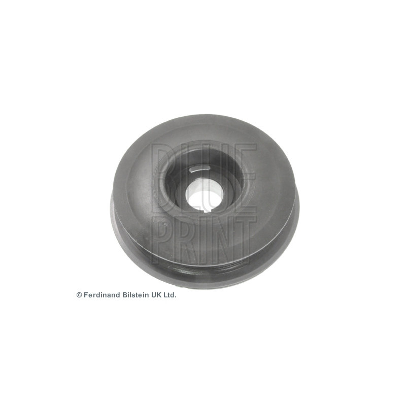 Poulie damper BLUE PRINT