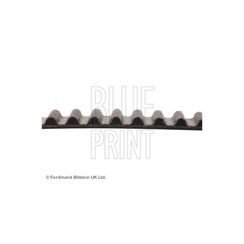 Courroie de distribution BLUE PRINT