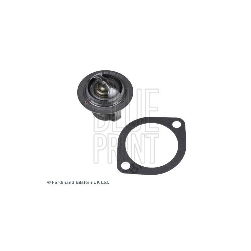 Thermostat d'eau BLUE PRINT