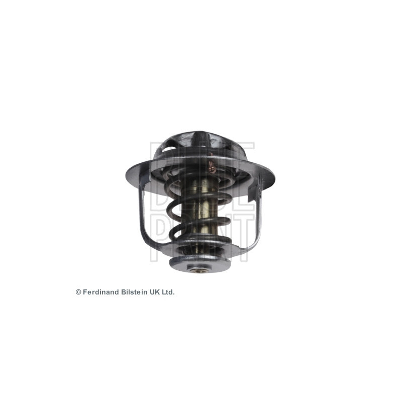 Thermostat d'eau BLUE PRINT