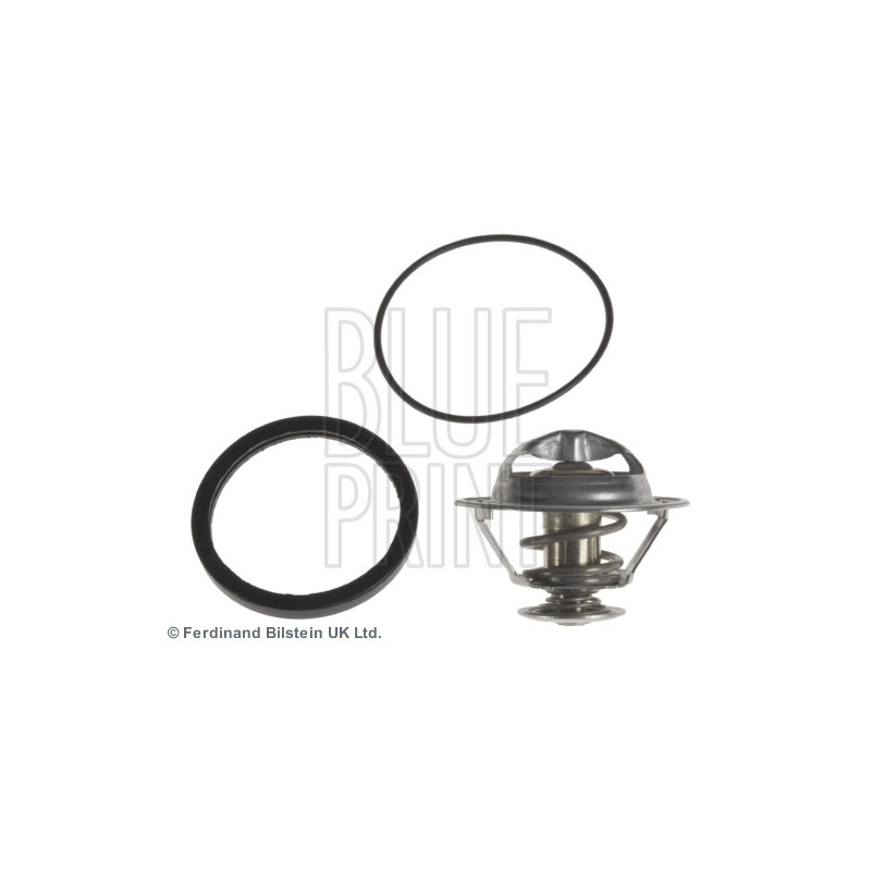 Thermostat d'eau BLUE PRINT