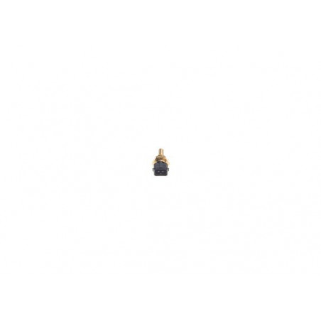 Sonde de température...