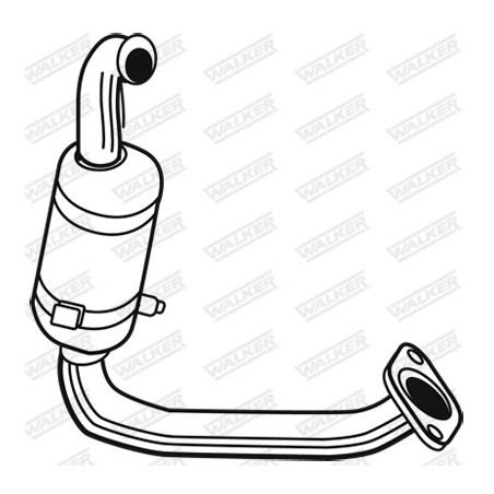 Catalyseur WALKER