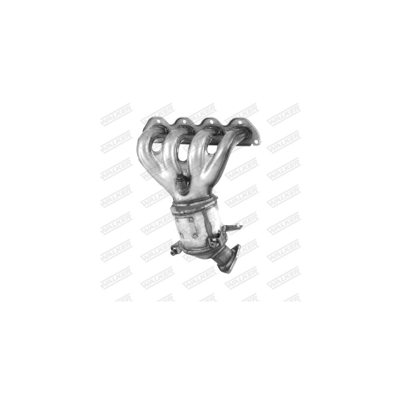 Catalyseur WALKER