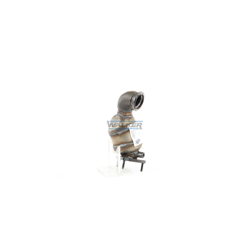 Catalyseur WALKER