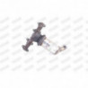 Catalyseur WALKER