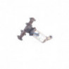 Catalyseur WALKER