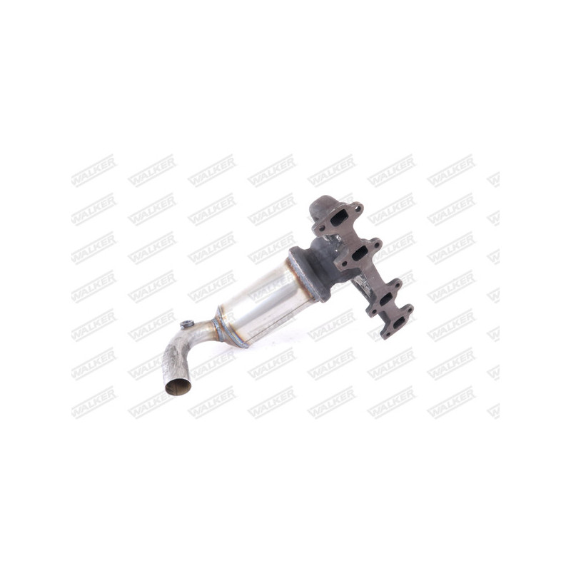 Catalyseur WALKER
