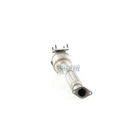 Catalyseur WALKER