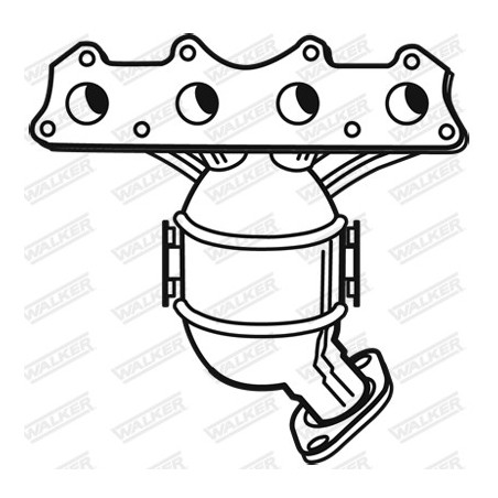 Catalyseur WALKER