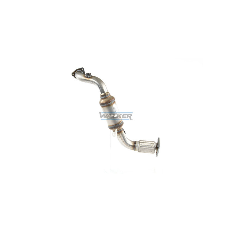 Catalyseur WALKER
