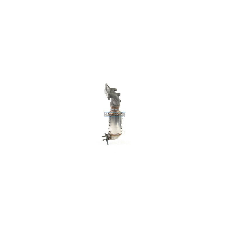 Catalyseur WALKER