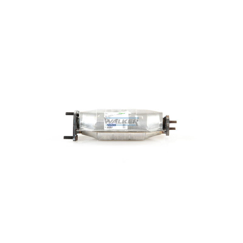 Catalyseur WALKER