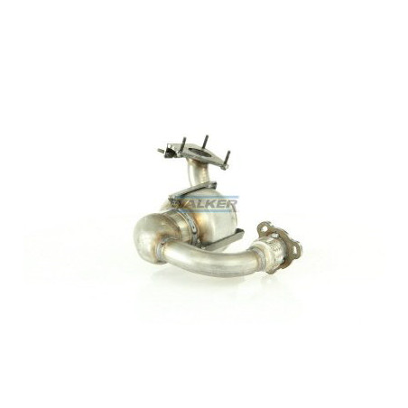 Catalyseur WALKER
