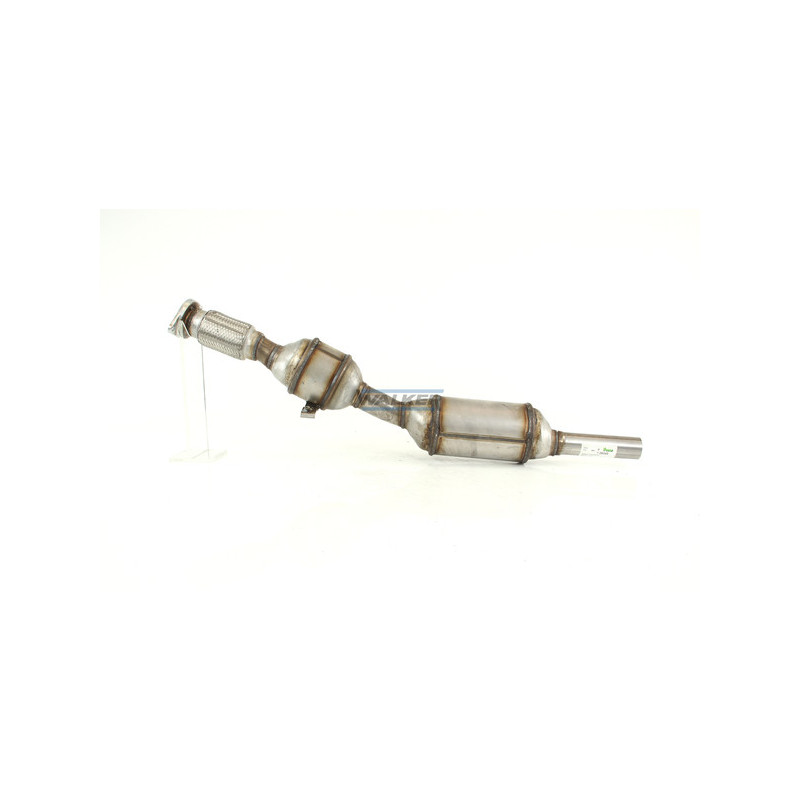 Catalyseur WALKER