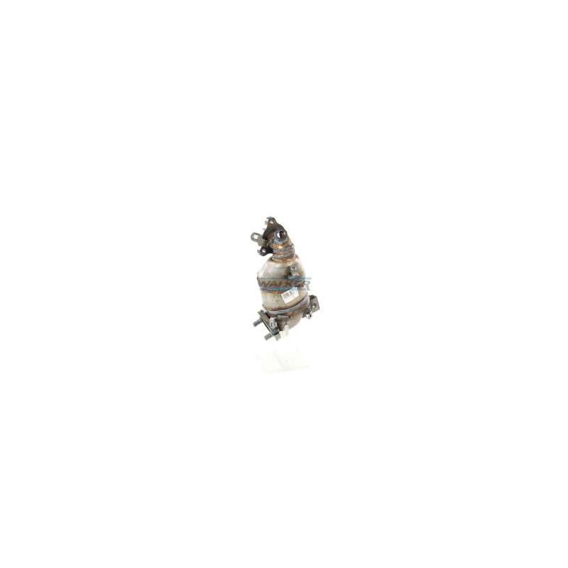 Catalyseur WALKER