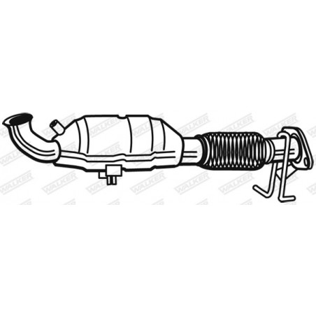 Catalyseur WALKER