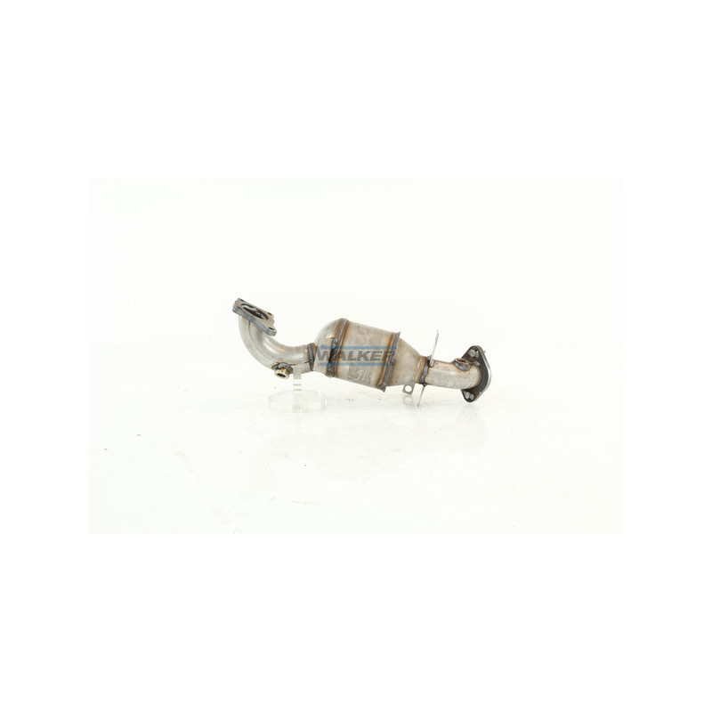 Catalyseur WALKER