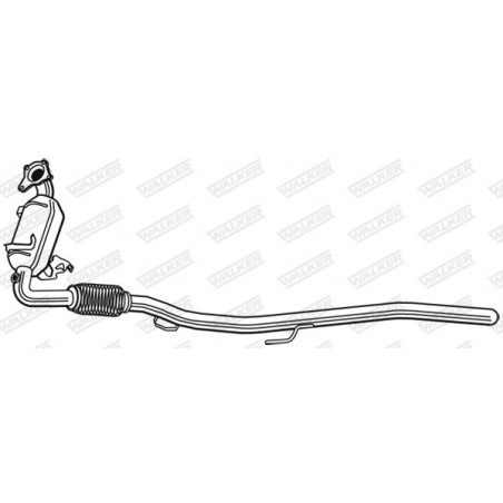 Catalyseur WALKER