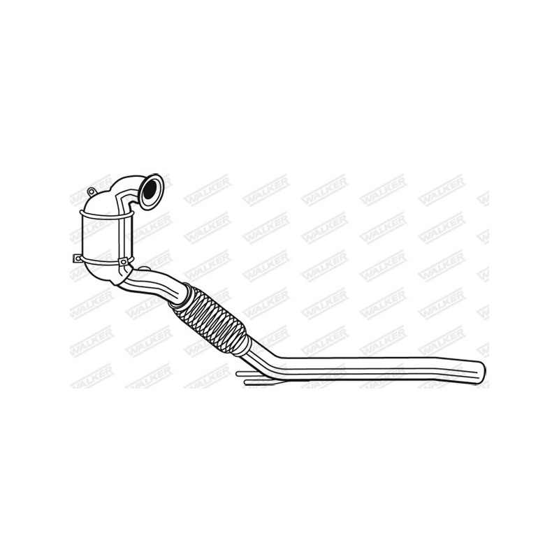 Catalyseur WALKER