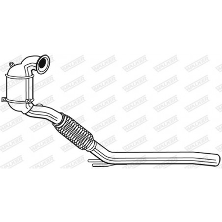 Catalyseur WALKER