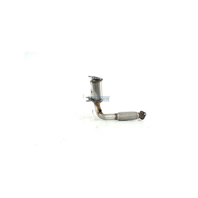 Catalyseur WALKER