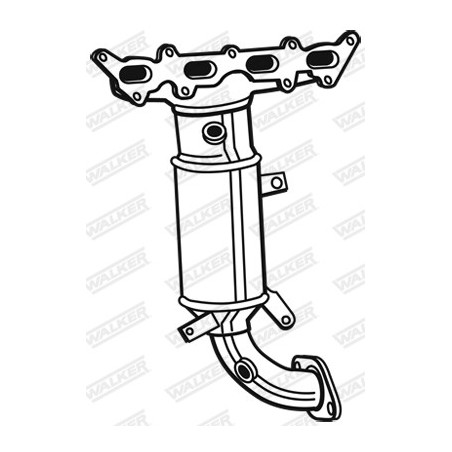 Catalyseur WALKER