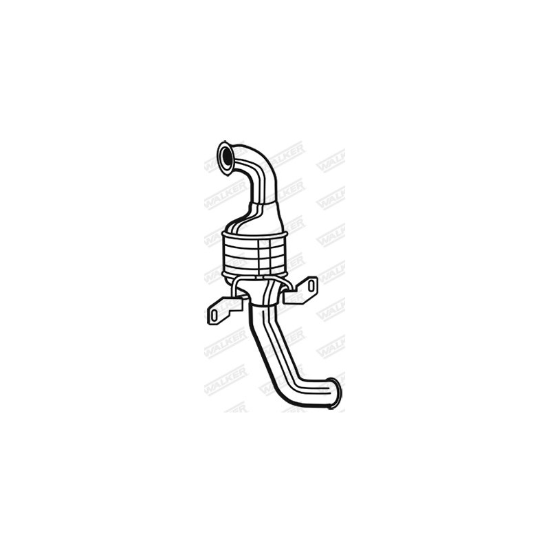 Catalyseur WALKER