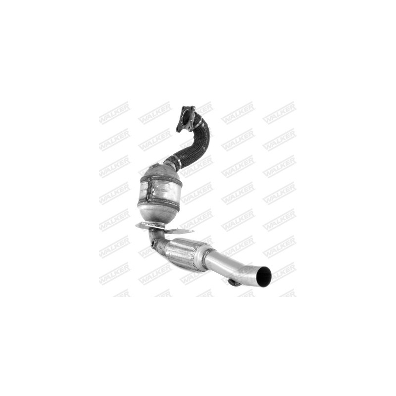 Catalyseur WALKER