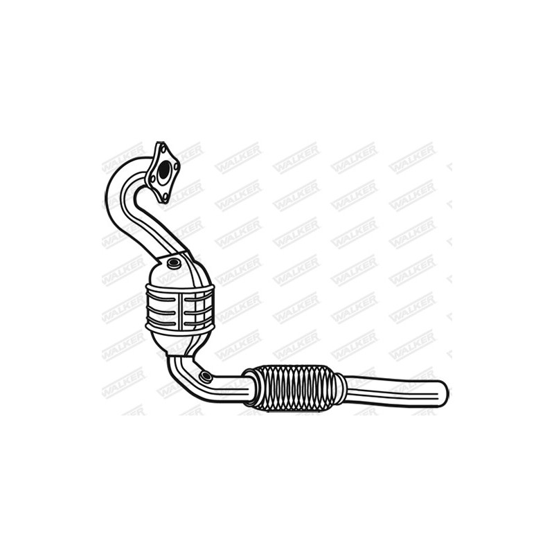 Catalyseur WALKER