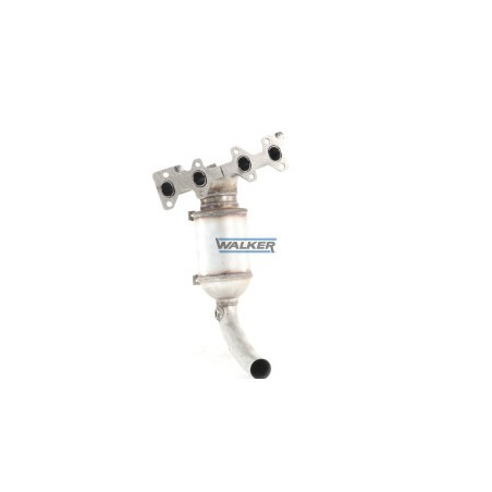 Catalyseur WALKER
