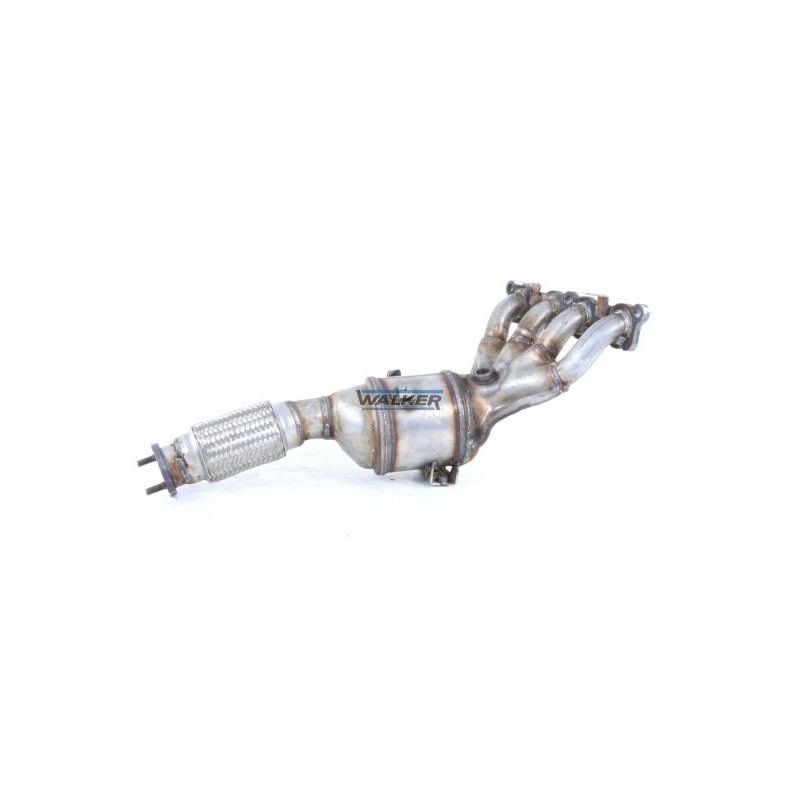 Catalyseur WALKER