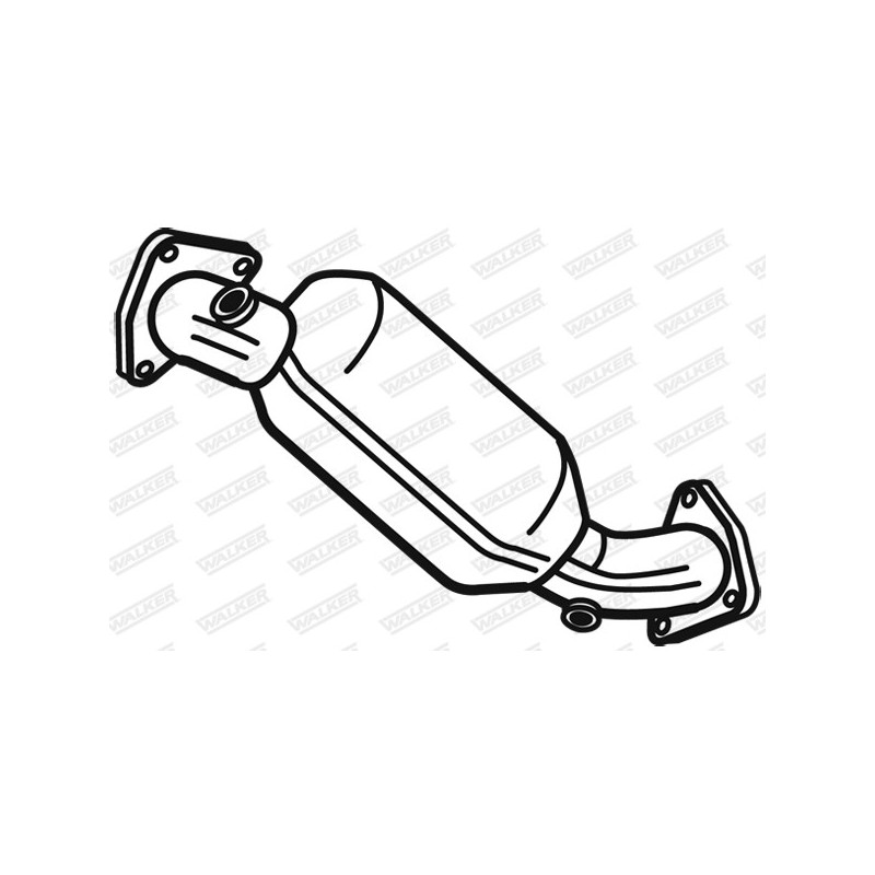 Catalyseur WALKER