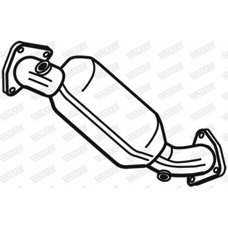 Catalyseur WALKER